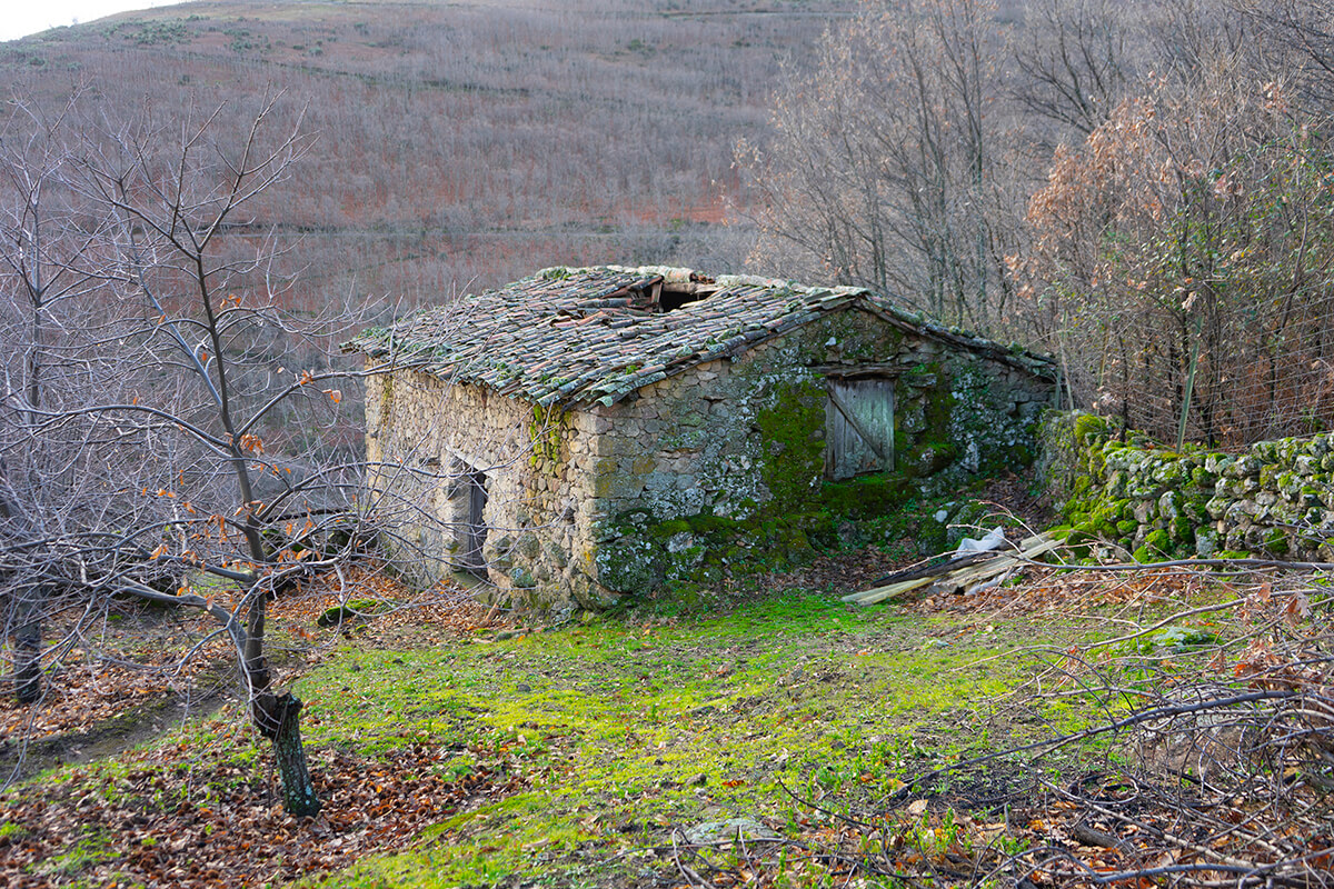 Parcela en producción con extenso prado en Garganta La Olla, Cáceres.