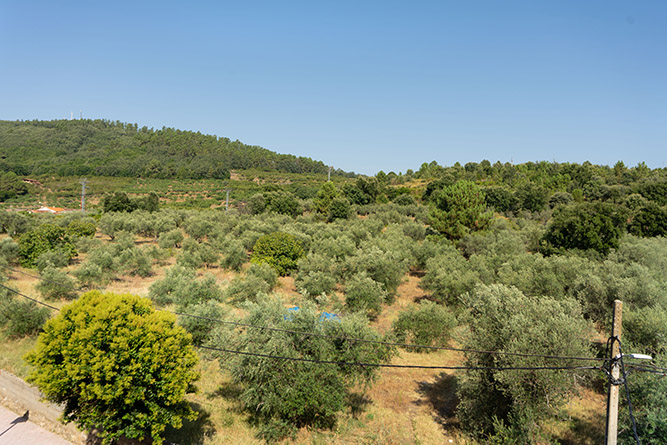 AVDA MONTAÑA 11B 2C_22