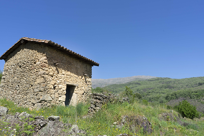 CASCARONES MARIA001_10