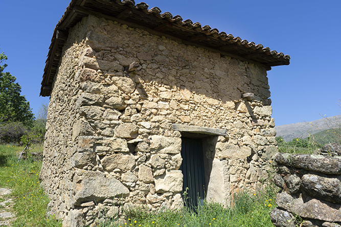 CASCARONES MARIA001_8