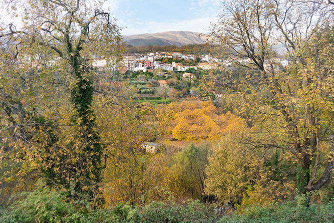 CHALET ASOMADA0_26