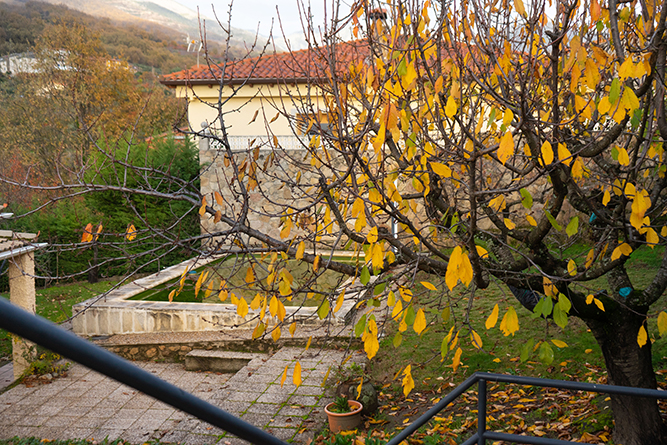 CHALET ASOMADA0_4