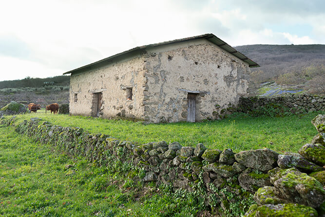 PRADO001_7