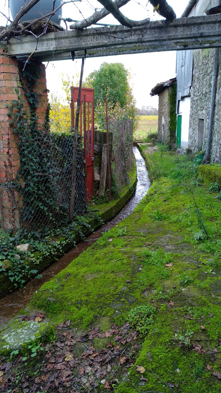 acequia