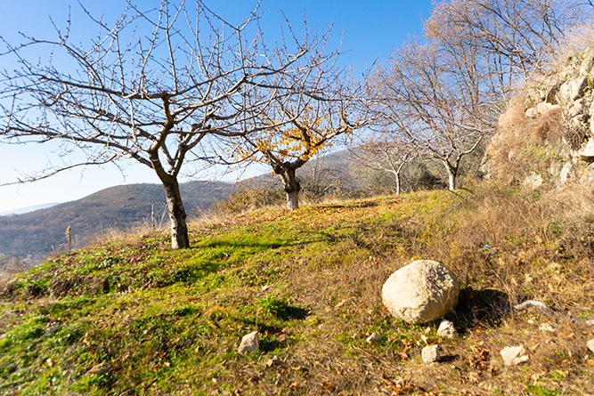 aldeanueva 0_15