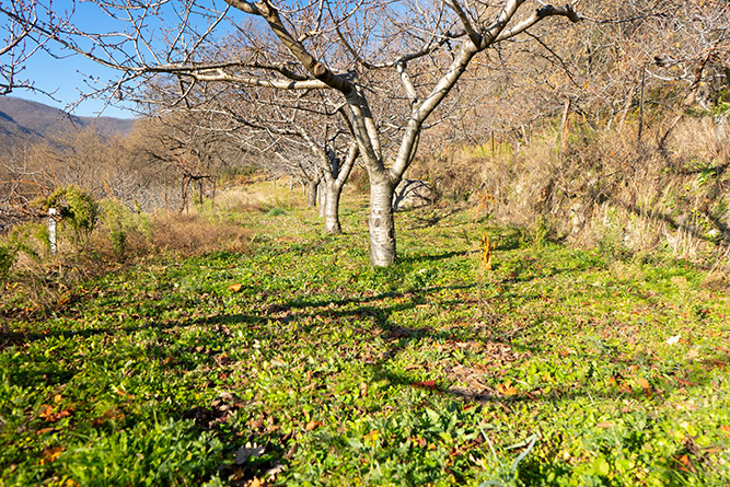 aldeanueva 0_18