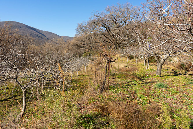 aldeanueva 0_20