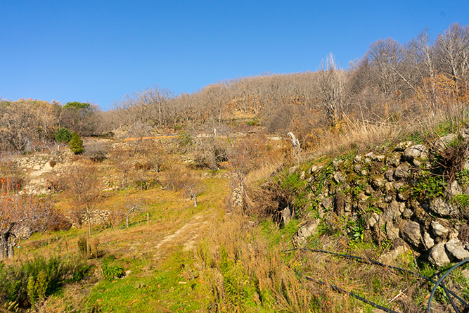 aldeanueva 0_22