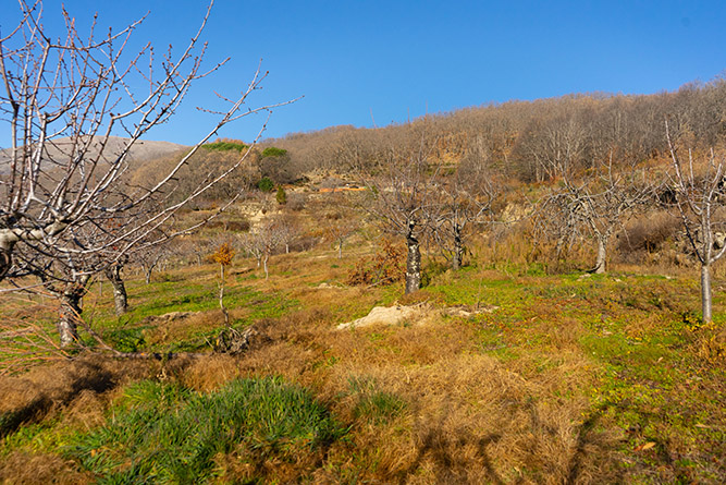 aldeanueva 0_23