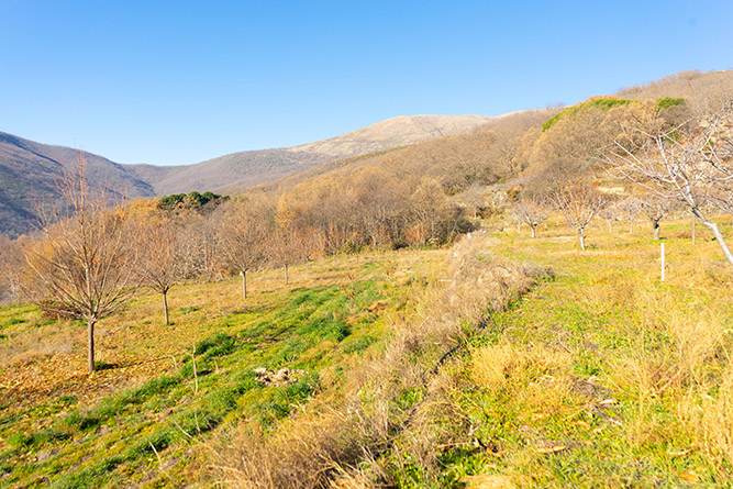 aldeanueva 0_25