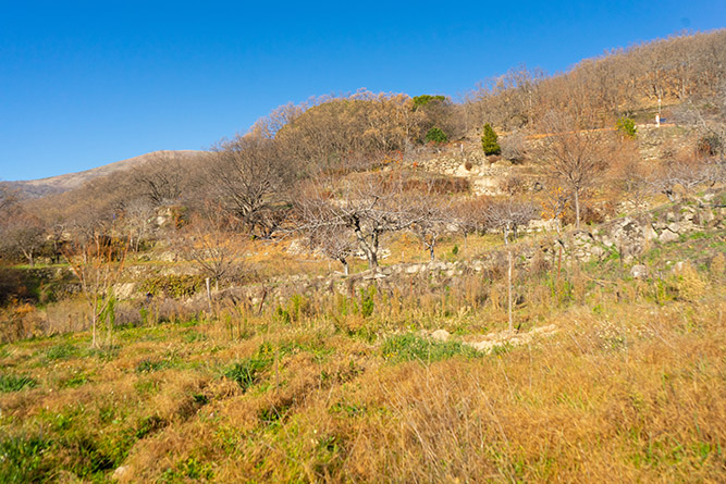 aldeanueva 0_26