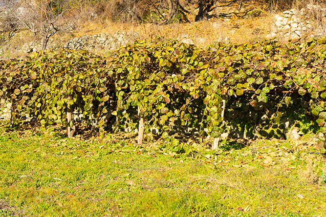 aldeanueva 0_29