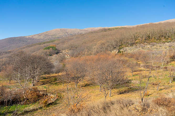 aldeanueva 0_33