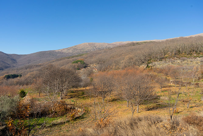 aldeanueva 0_34
