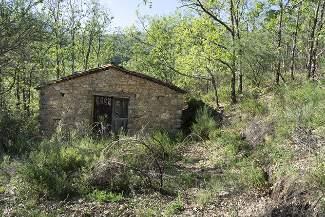 caseta001_11