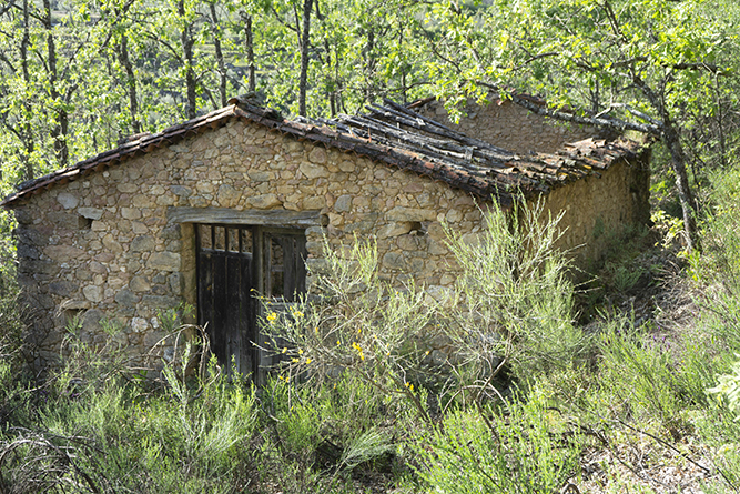 caseta001_13