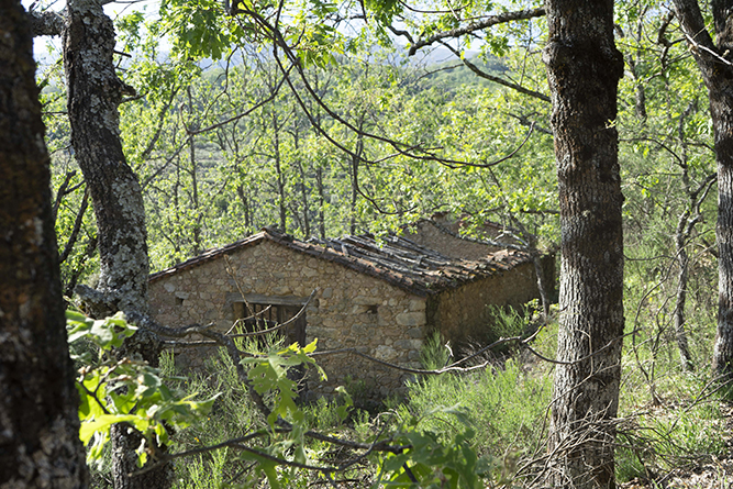 caseta001_14