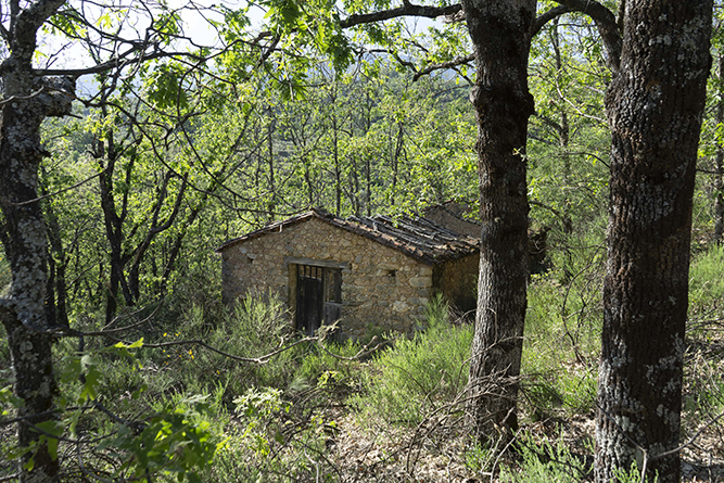 caseta001_15