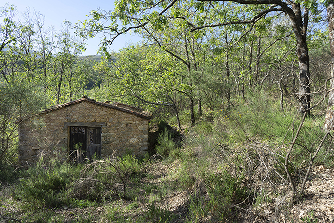 caseta001_16