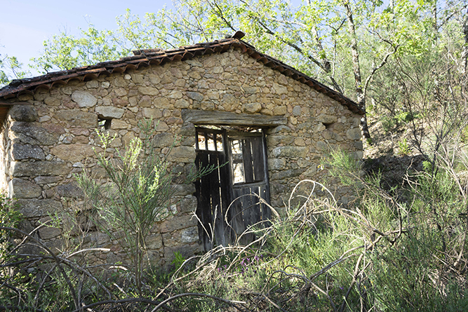 caseta001_17
