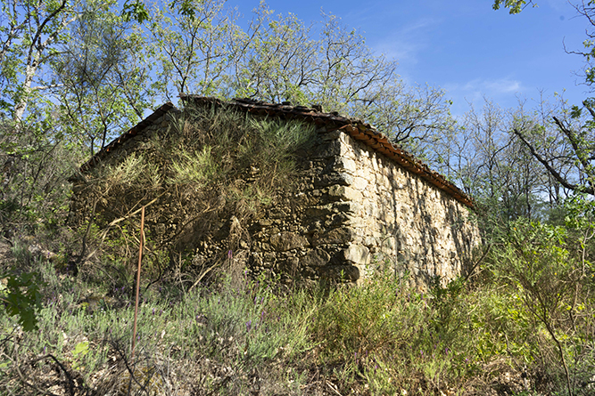 caseta001_3