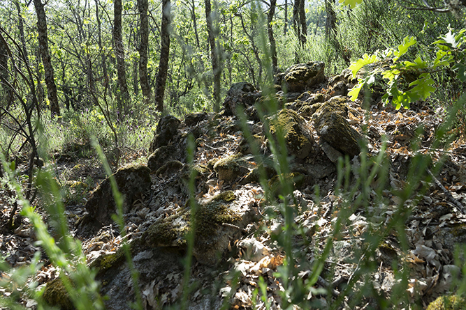 caseta001_5